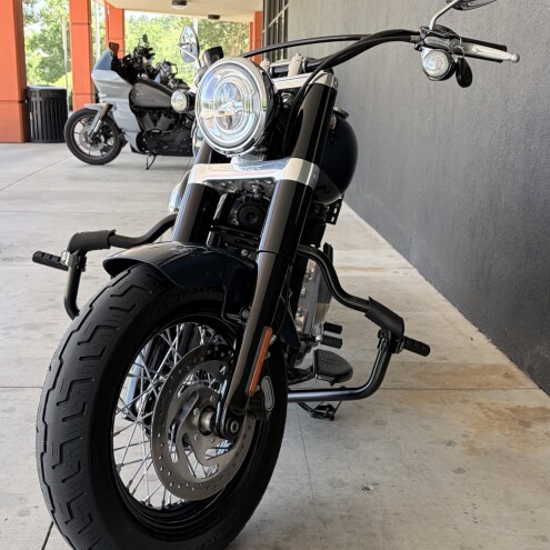 FLSL 2019 Softail Slim® thumb 1