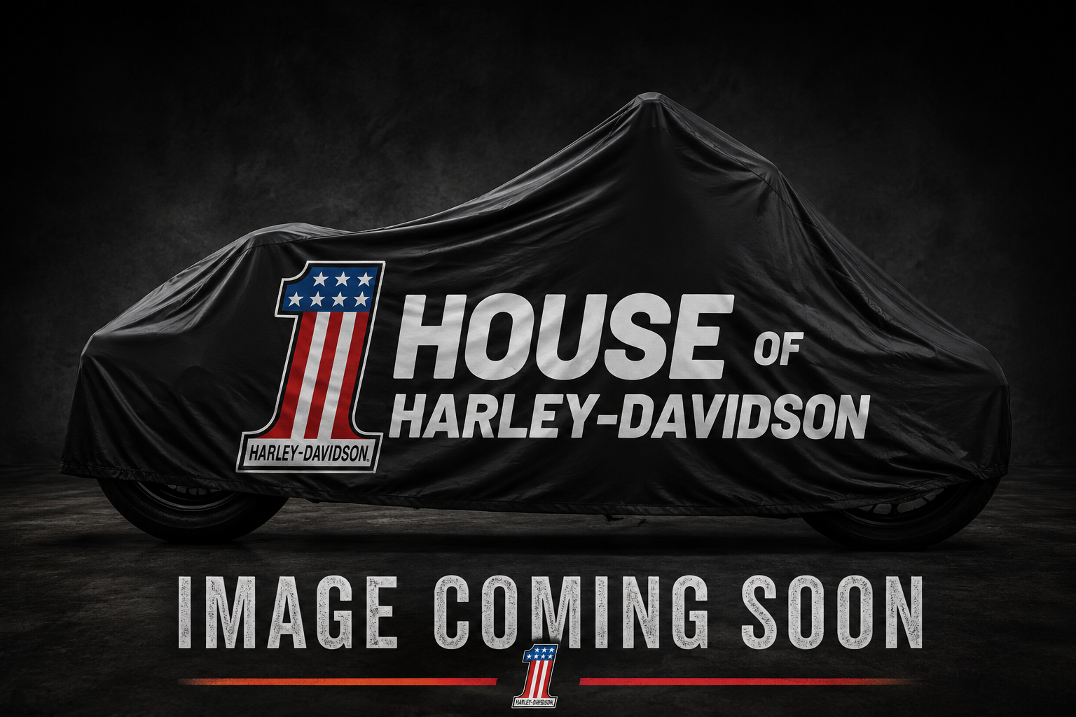 2007 Harley-Davidson® Sportster Custom WHITE GOLD