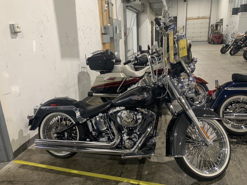 2005 Harley-Davidson Softail Deluxe FLSTNI