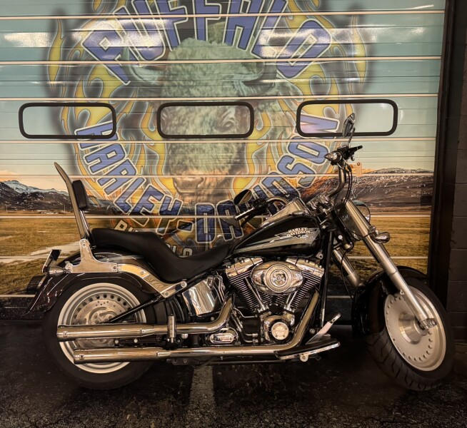 2009 Harley-Davidson® Fat Boy® Vivid Black