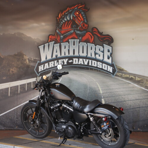 XL 883N 2020 Iron 883™ thumb 1