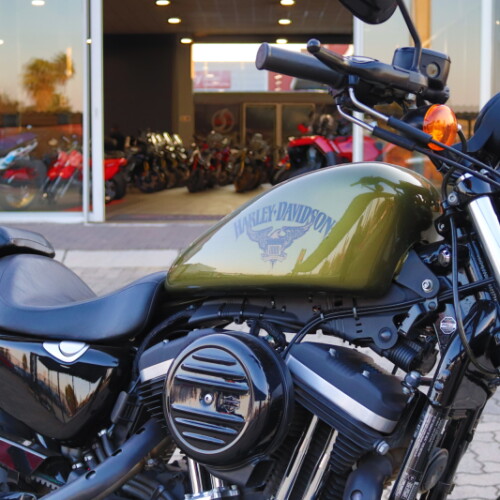 2016 Harley-Davidson® Iron 883™ Olive Gold thumb 3