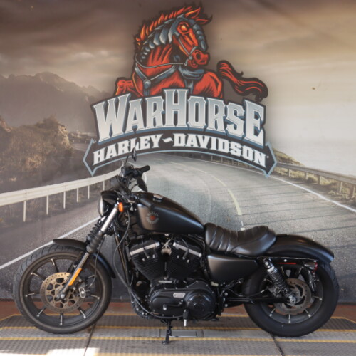 XL 883N 2020 Iron 883™ thumb 0
