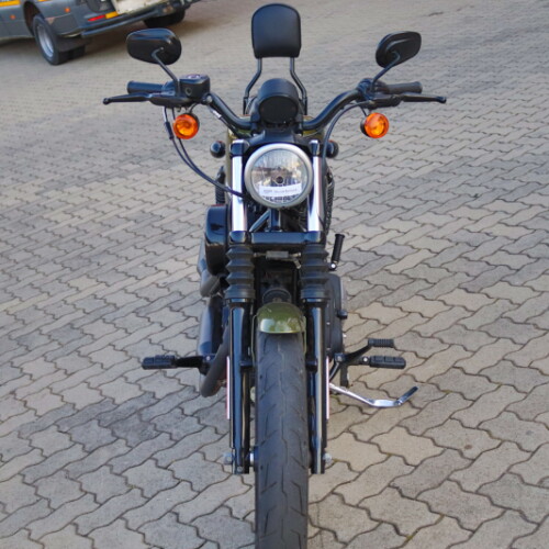 2016 Harley-Davidson® Iron 883™ Olive Gold thumb 2