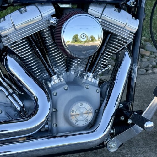 FXST 2003 Softail Standard thumb 1