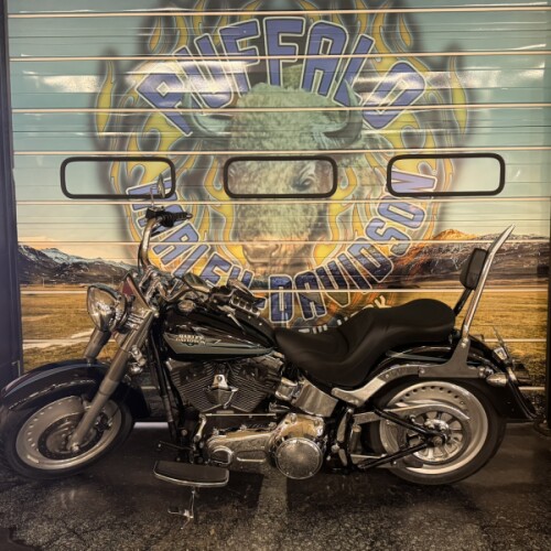 2009 Harley-Davidson® Fat Boy® Vivid Black thumb 3