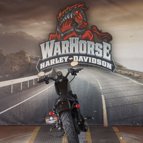 XL 883N 2020 Iron 883™ thumb 2
