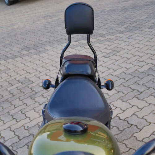 2016 Harley-Davidson® Iron 883™ Olive Gold thumb 1