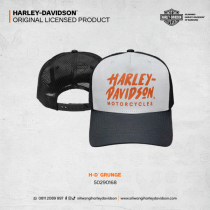 H-D GRUNGE