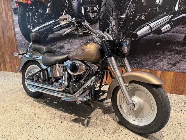 Harley-Davidson® Fat Boy® 2003 FLSTF