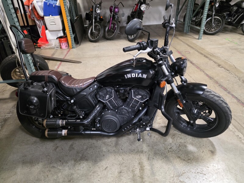  2023 Scout Bobber
