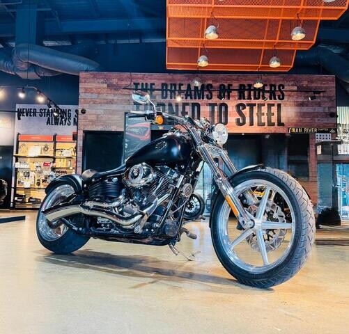 Harley-Davidson® Softail® Rocker™ C 2010 FXCWC