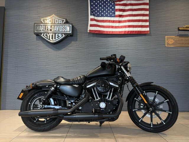 2019 Harley-Davidson® Iron 883™ Black Denim