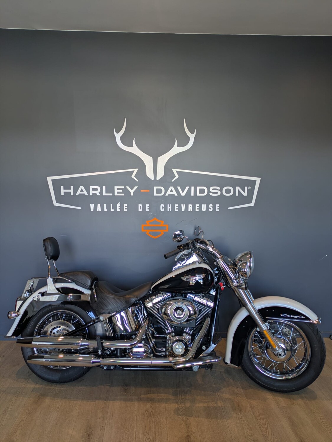 FLSTN 2008 Softail® Deluxe