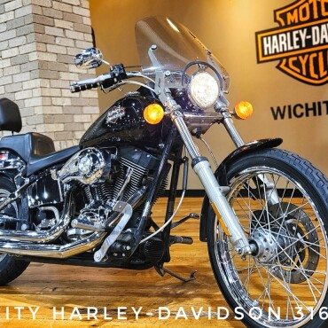 2001 Harley-Davidson® Night Train®, FXSTB thumb 2