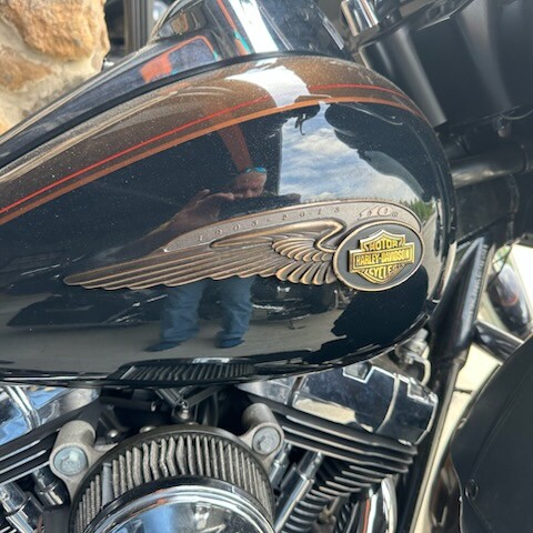 2013 Harley-Davidson® Electra Glide® Ultra Limited BRONZE/ANN BLK W/ PINSTRIPE thumb 2