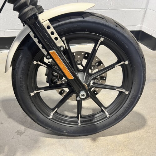 2022 Harley-Davidson® Iron 883™ White Sand Pearl XL883N thumb 2