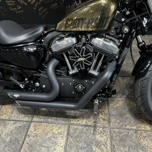 XL 1200X 2013 Forty-Eight® thumb 0