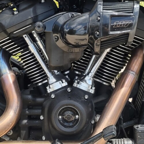 Harley-Davidson® Low Rider™ ST 2024 thumb 2