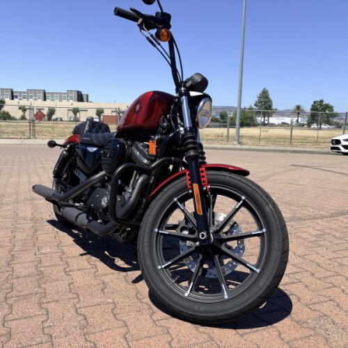 XL 883N 2019 Iron 883™ thumb 1