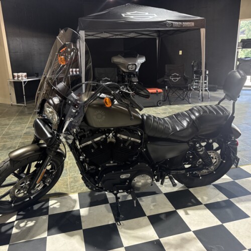 XL 883N 2021 Iron 883™ thumb 1
