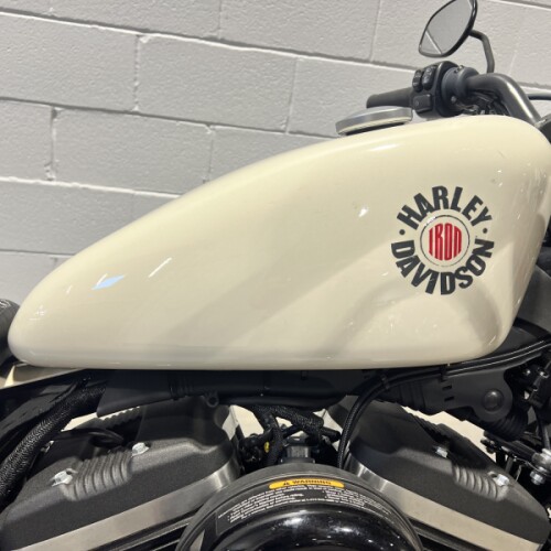 2022 Harley-Davidson® Iron 883™ White Sand Pearl XL883N thumb 3