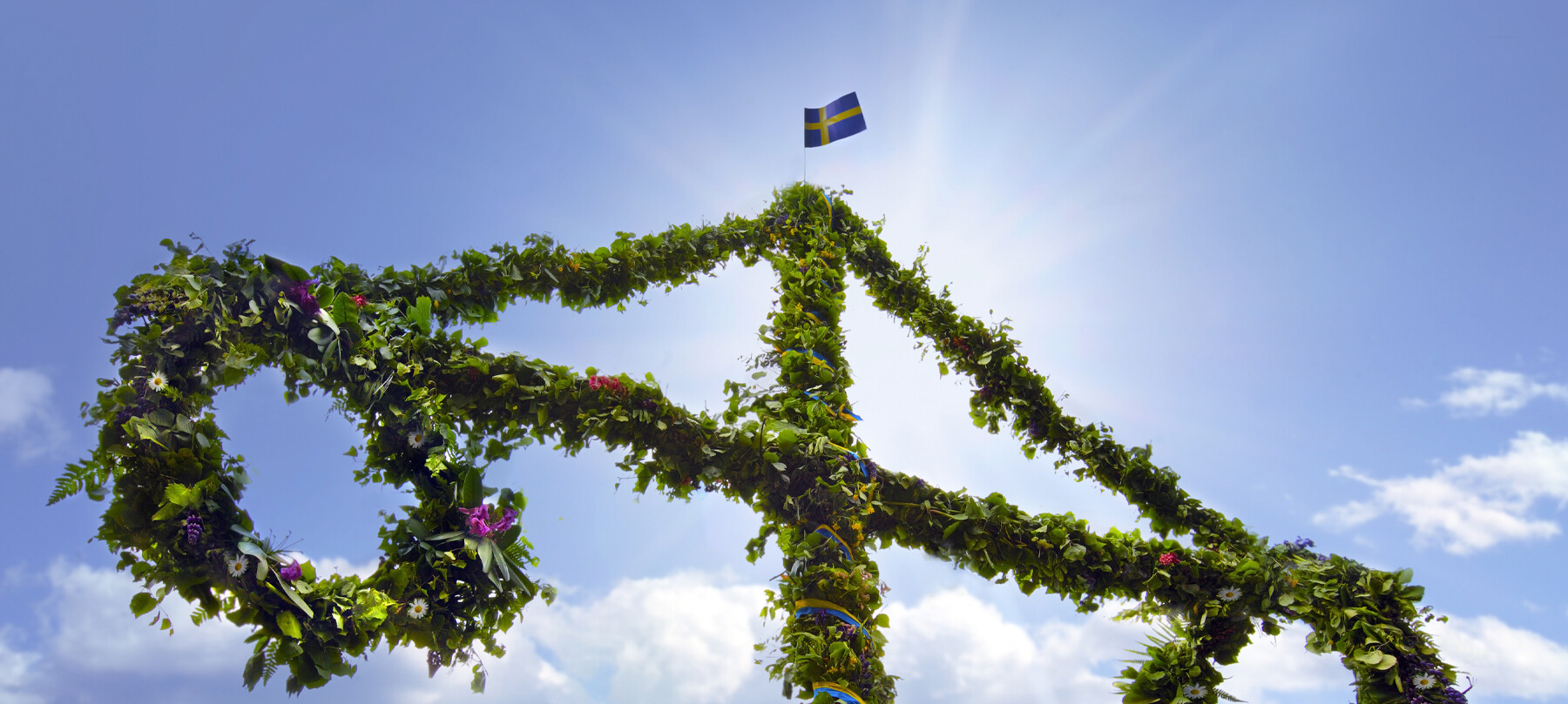 MIDSOMMAR 26