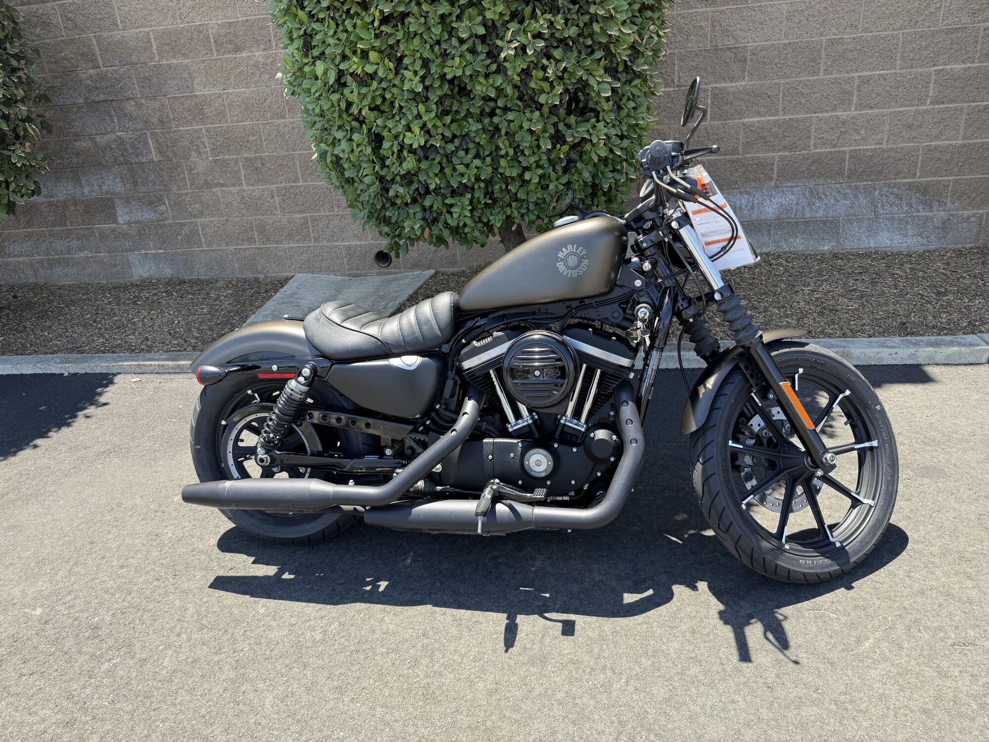 XL 883N 2021 Iron 883™