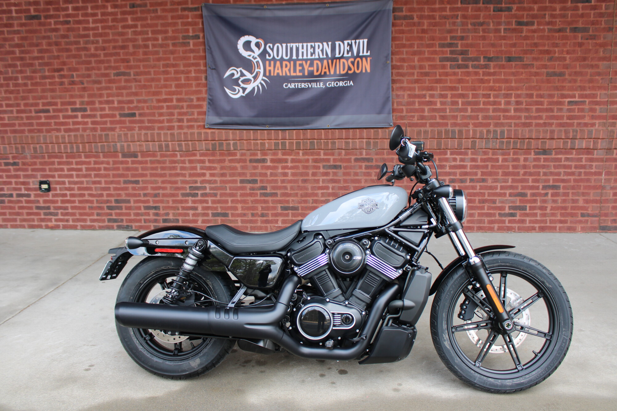 2026 Harley-Davidson® Nightster® Dark Billiard Gray Black Trim
