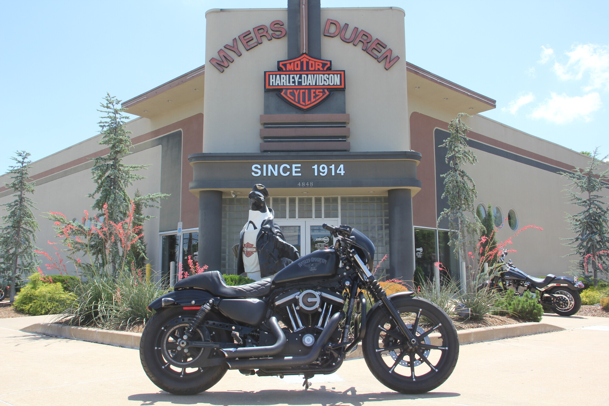 2024 Harley-Davidson® Nightster™ Special | Pre-owned Motorcycles