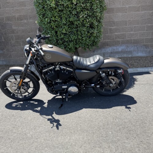 XL 883N 2021 Iron 883™ thumb 0