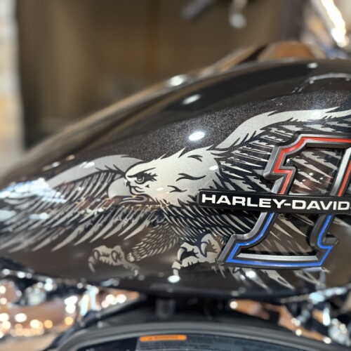 2026 FLTRX - ROAD GLIDE ENTHUSIAST COLLECTION thumb 2