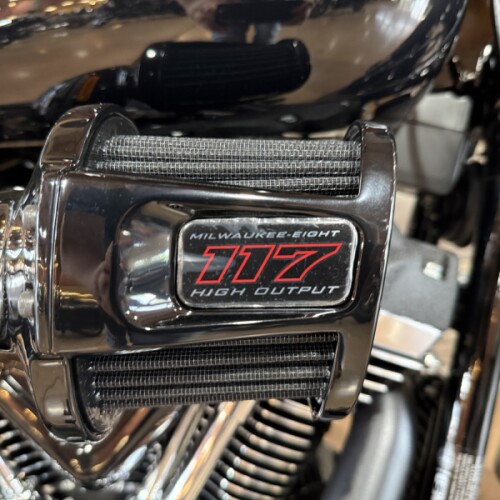 2026 FXLRS - LOWRIDER S thumb 2