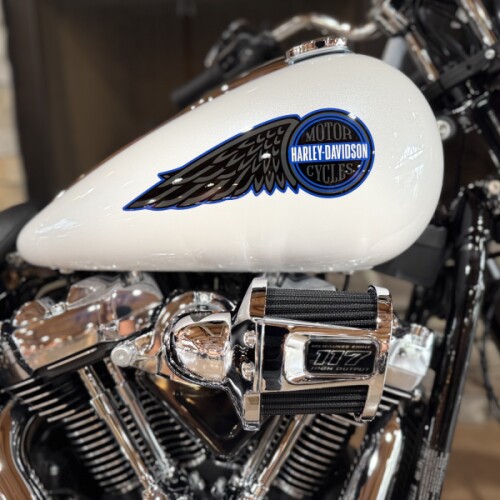 2026 FXLRS - LOWRIDER S  thumb 3