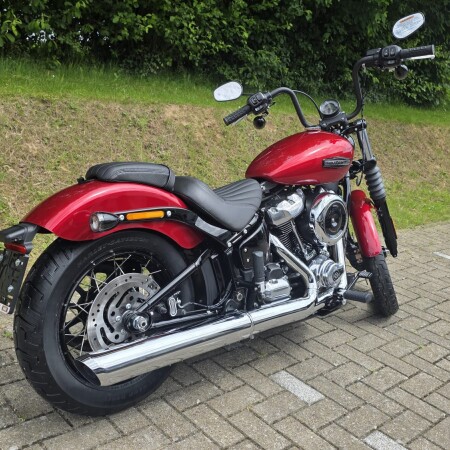 Street Bob 2026 thumb 1