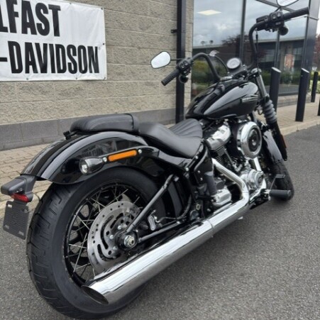 Street Bob 117 in Vivid Black  thumb 1