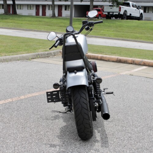 2020 Harley-Davidson Sportster Iron 883 XL 883N thumb 1