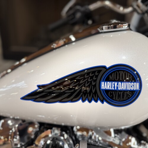 2026 FXLRS - LOWRIDER S  thumb 2