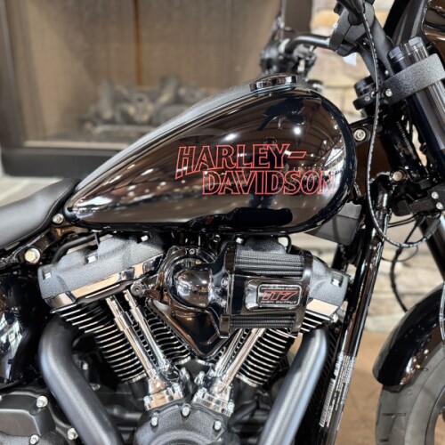 2026 FXLRS - LOWRIDER S thumb 3
