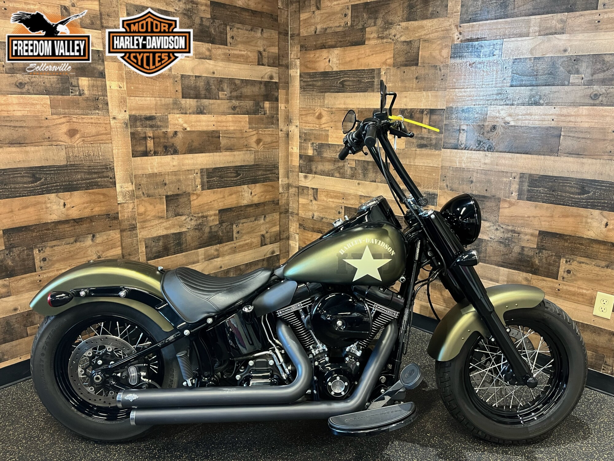 2016 Harley-Davidson® Softail Slim® Olive Gold FLSS
