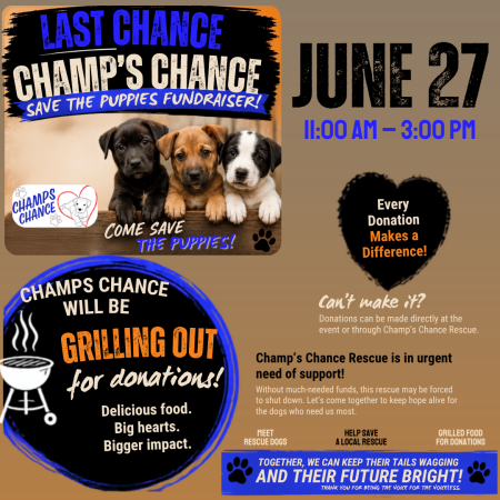 Last Chance for Champ's Chance