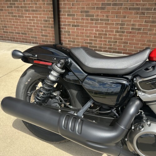 2022 Harley-Davidson Nightster RH975 thumb 1