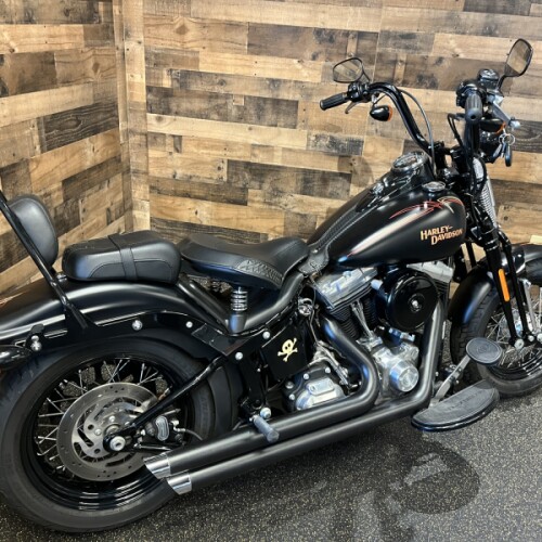 2009 Harley-Davidson®  Cross Bones Black Denim FLSTSB thumb 2