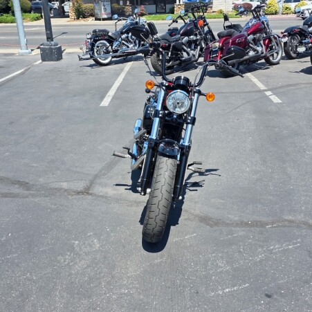 XL 1200XS 2019 Forty-Eight® Special thumb 0
