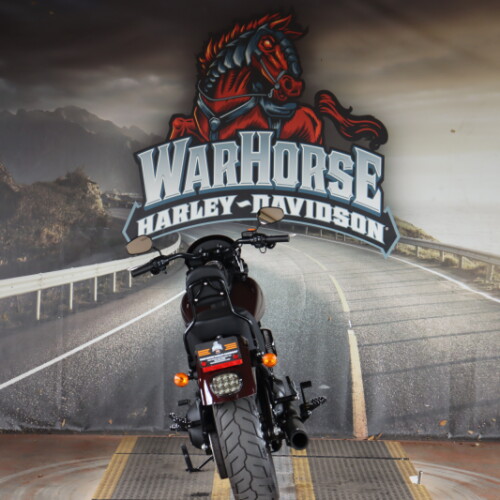 FXLRS 2021 Low Rider® S thumb 2