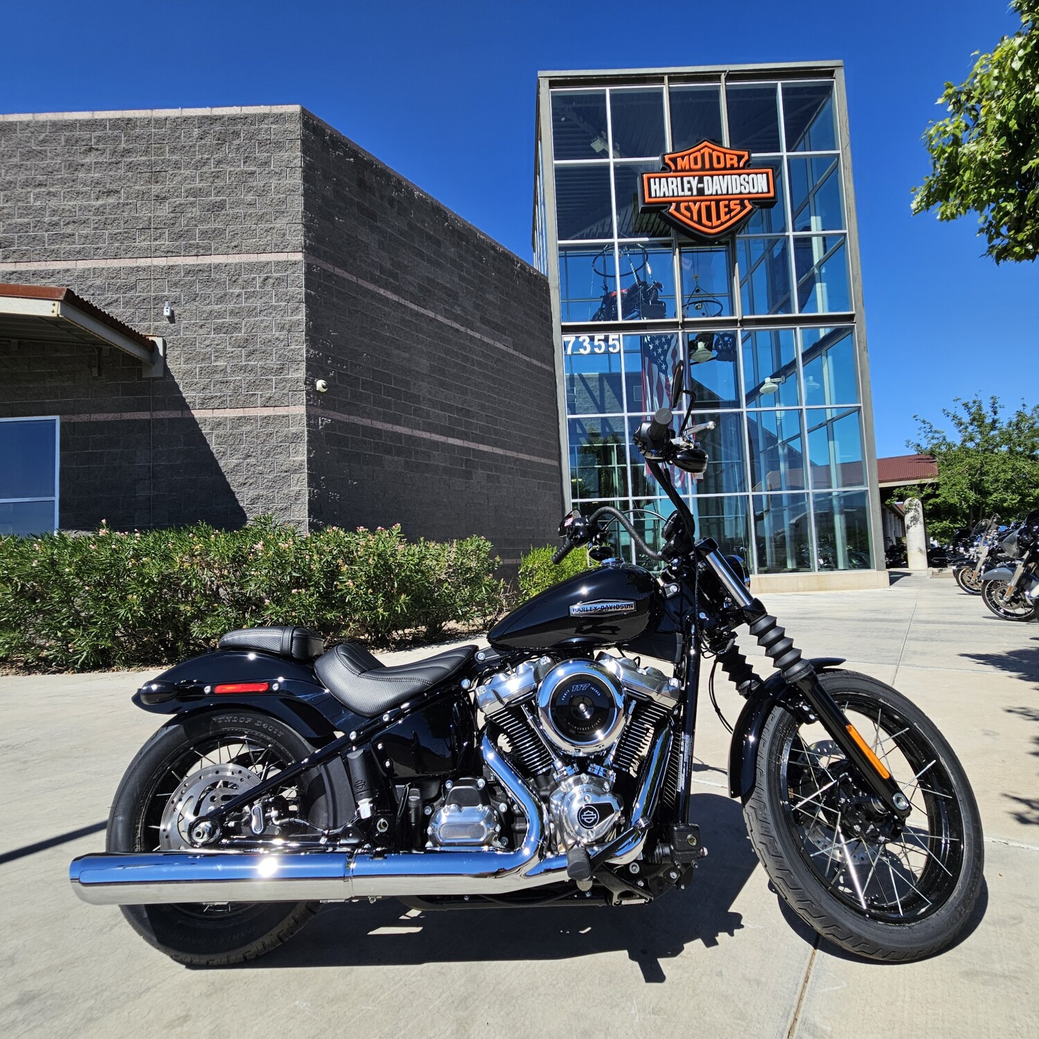 FXBB 2026 Street Bob®