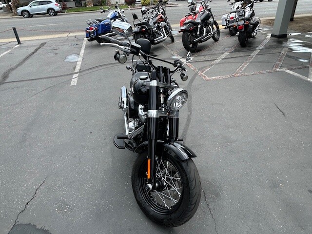 FLSL 2020 Softail Slim®