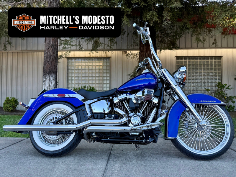 FLDE 2019 Harley-Davidson® Deluxe Blue