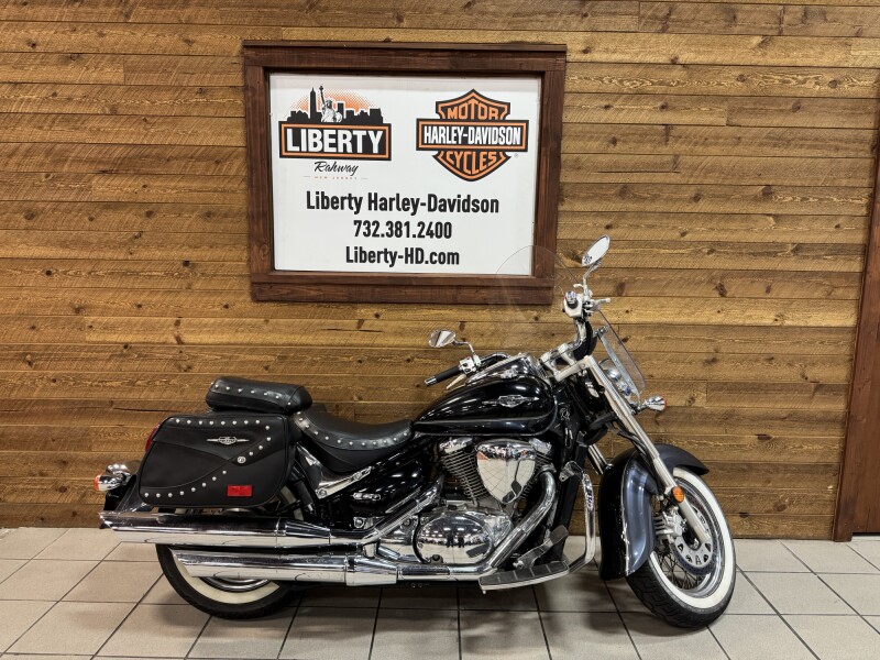 2011 Vl800cl/vl800l/vl800tl Blue / Gray VL800T