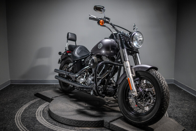 2015 Softail Slim® (FLS)